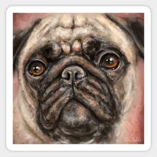 Close Up Painting of a Pug with its Gorgeous Orange Eyes and Expression on Red Background Sticker